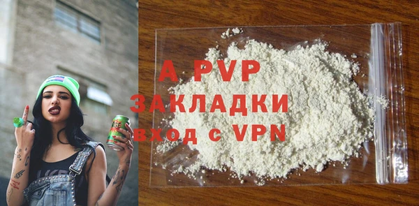 хмурый Арсеньев