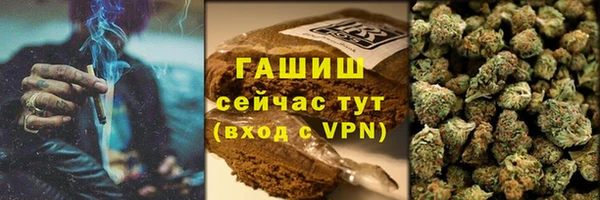 хмурый Арсеньев