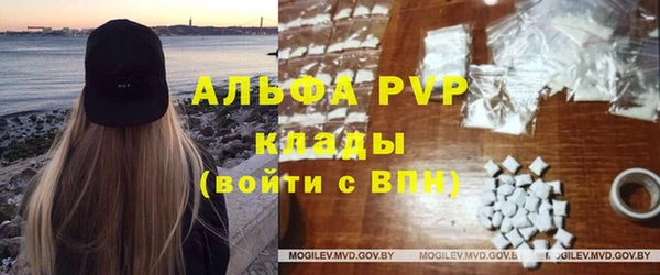 хмурый Арсеньев