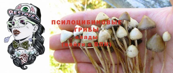 хмурый Арсеньев