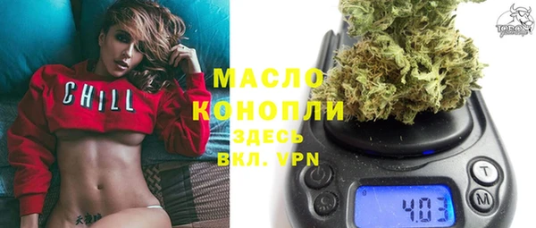хмурый Арсеньев