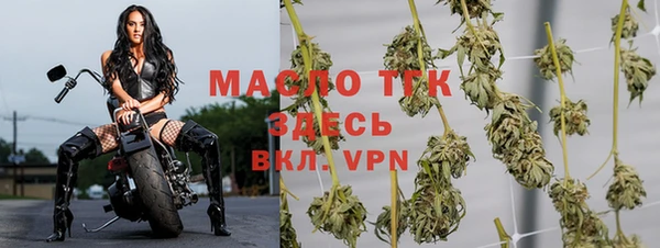 МДПВ Семилуки