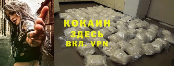 хмурый Арсеньев