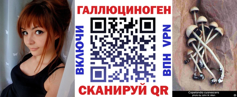 цена   Сосновый Бор  Псилоцибиновые грибы GOLDEN TEACHER 